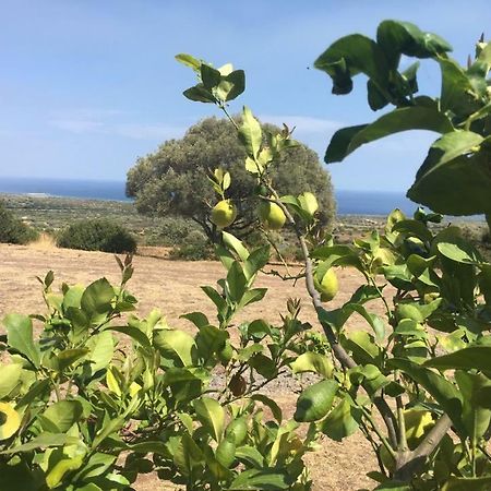 Agriturismo Su Nuragheddu Villa Galtellì Esterno foto