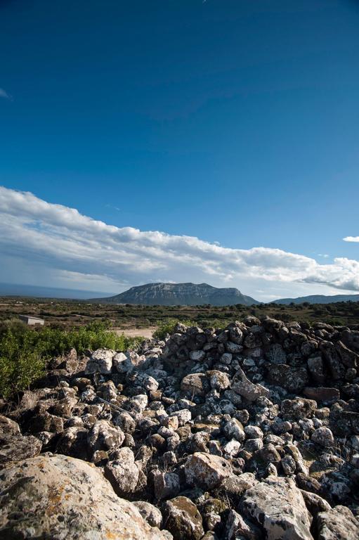 Agriturismo Su Nuragheddu Villa Galtellì Esterno foto