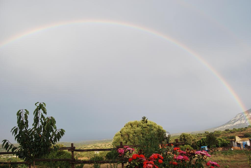 Agriturismo Su Nuragheddu Villa Galtellì Esterno foto